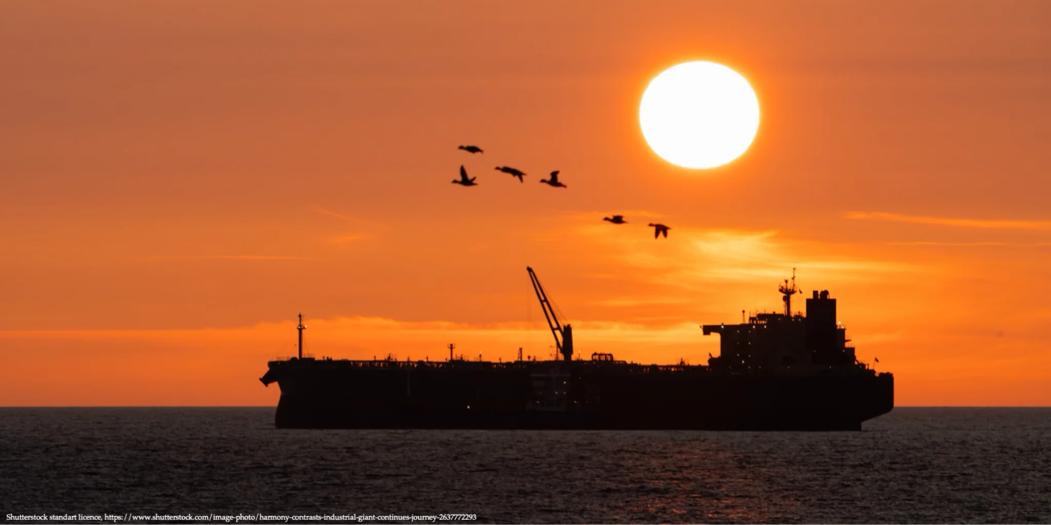 Yuliia Pavytska: Europe Tightens Pressure on Russia’s Shadow Fleet